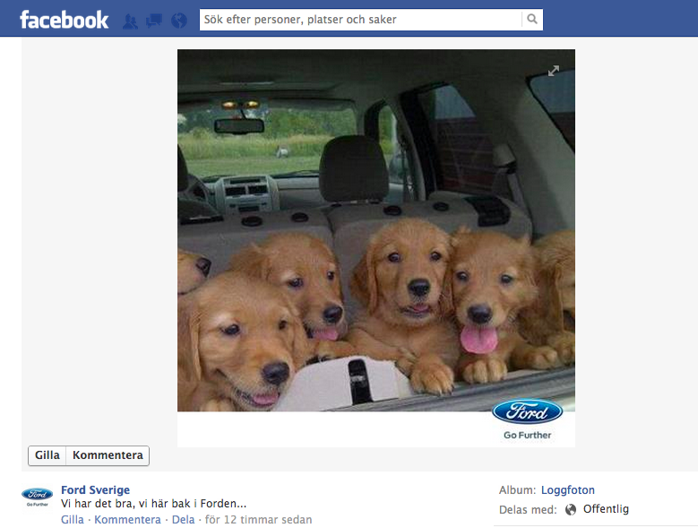 Fords Content Marketing på Facebook. Man kan undra vad hundvalpar, tillför till deras konverteringsprocess?